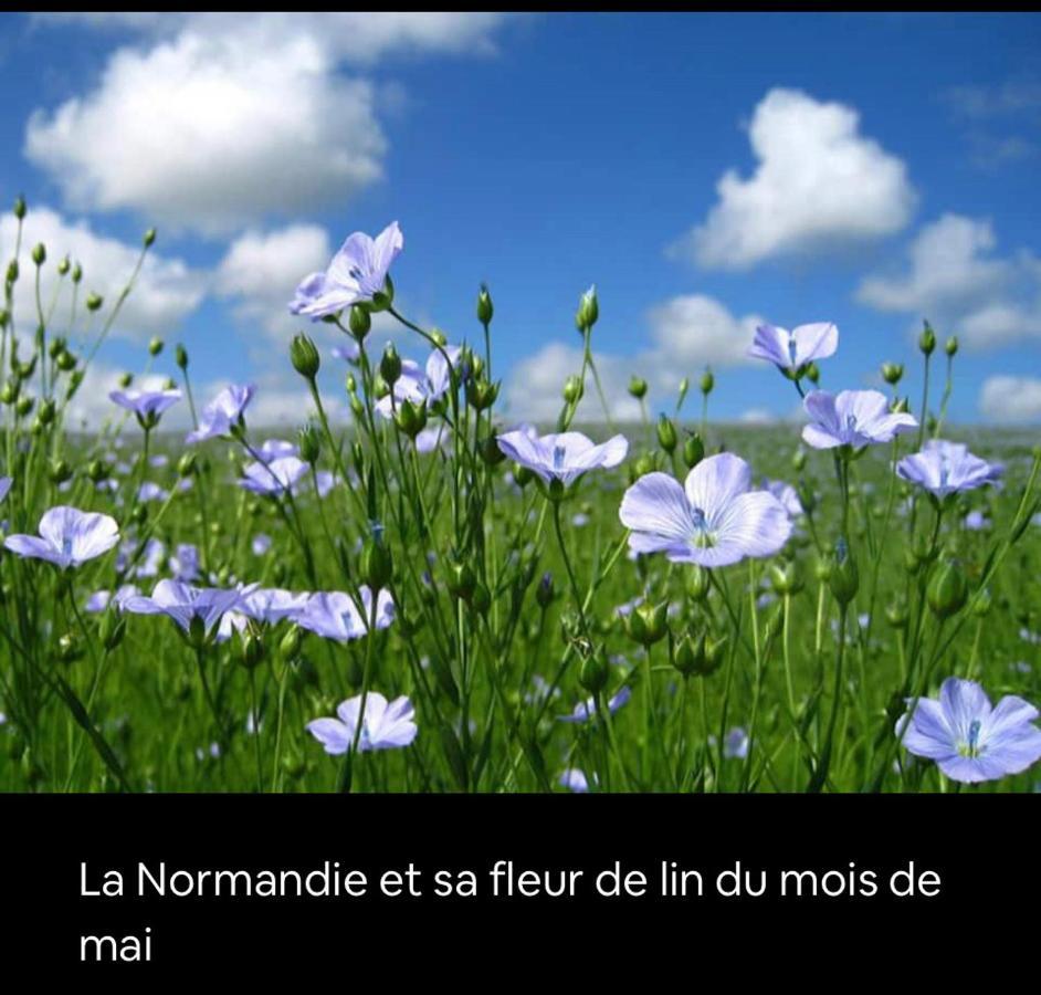 Appartement Veules Roses , La Cressonniere: « Veules & Victor «  المظهر الخارجي الصورة